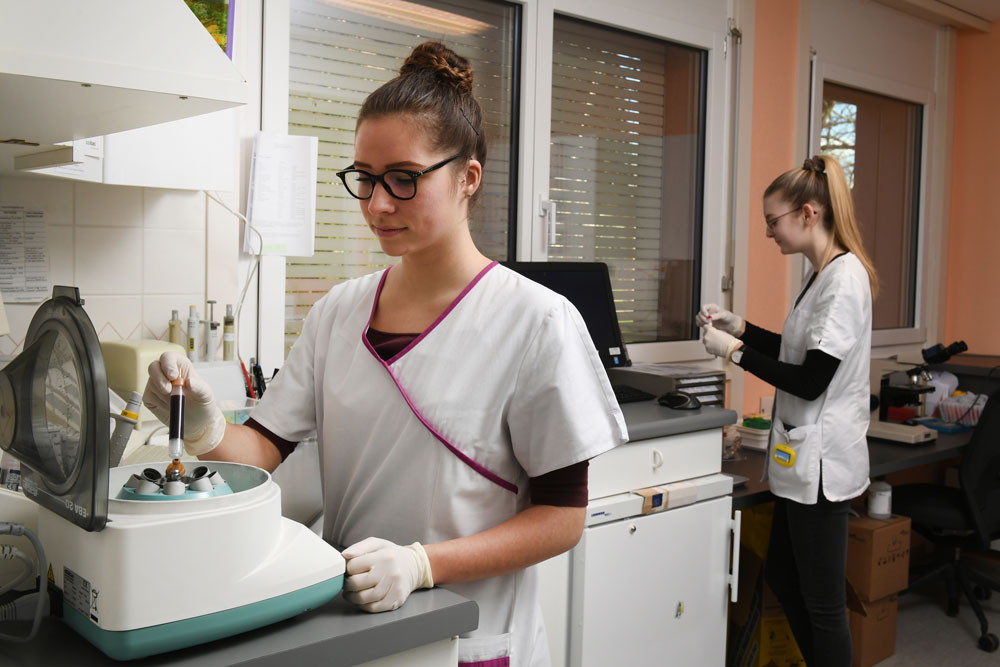 Analisi in laboratorio