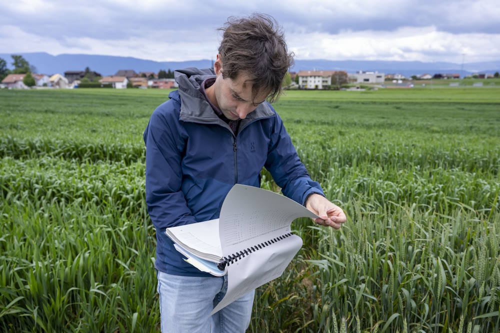 Incoraggiare la biodiversità