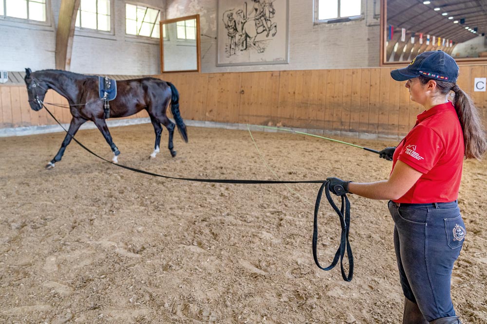 Lavorare con il cavallo