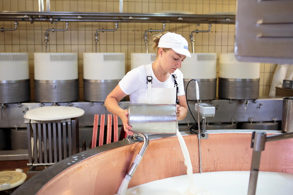 Produzione del formaggio e dei prodotti lattiero-caseari