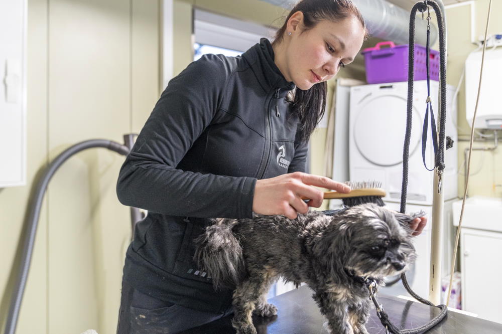 Cura del pelo e delle ferite