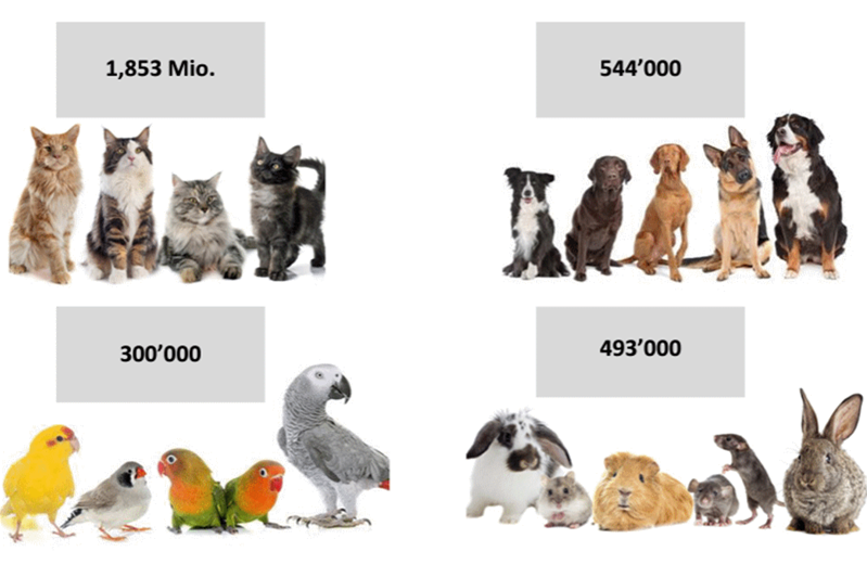 Infografica sul numero di animali in Svizzera nel 2022