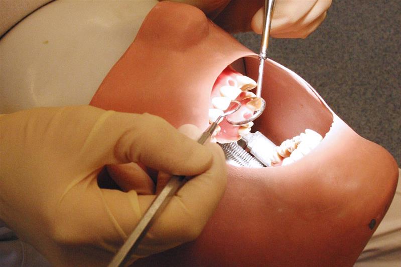 Esame di una dentizione su una testa artificiale