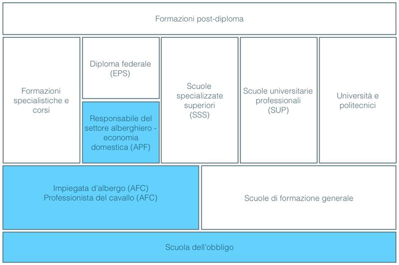 Caposettore