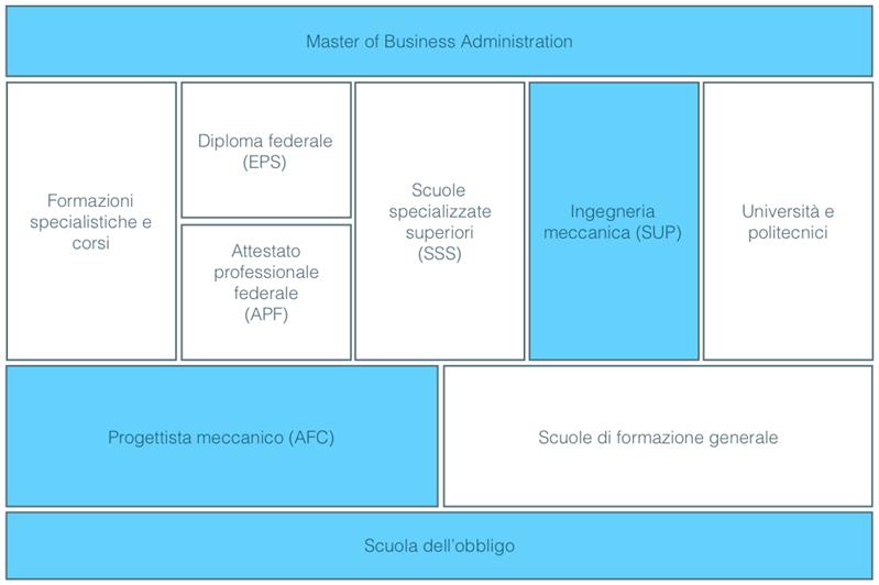Capo della divisione mercato