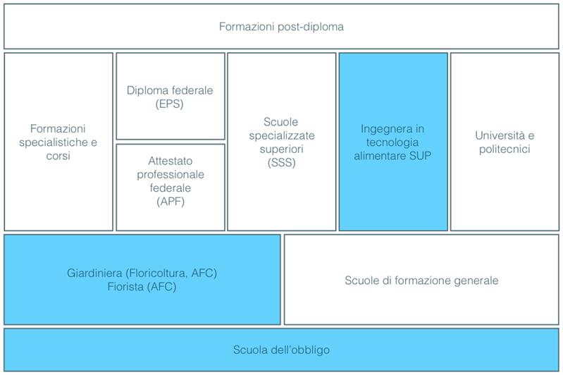 Ingegnerea in tecnologia alimentare