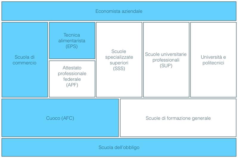 Ingegnere di processo