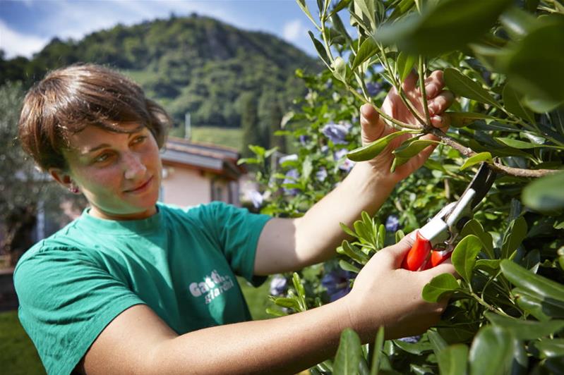 Una donna taglia il ramo di una pianta.